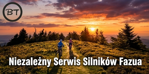 Materiały serwisowe dla systemów napędowych Fazua